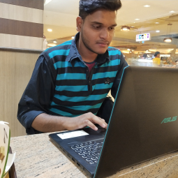 Taseen Mullick-Freelancer in ,India