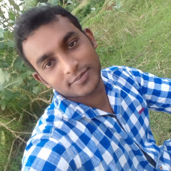Ashim Pal-Freelancer in Baidara,India