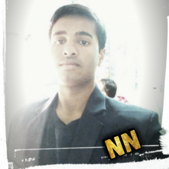 Nitish Kumar-Freelancer in New Delhi,India