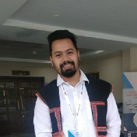 Satyajit Borgohain-Freelancer in ,India