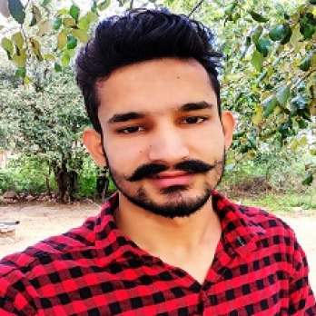 Rishi Kesh-Freelancer in haryana,India