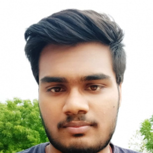 Bhargav Sriramaneni-Freelancer in Nandigama,India