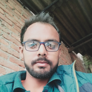 Shan Ansari-Freelancer in Chandigarh,India