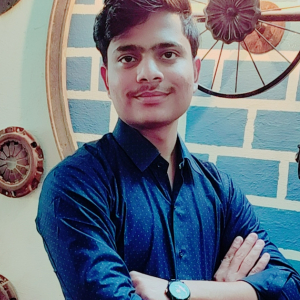 Vivek Goyal-Freelancer in Jaipur,India