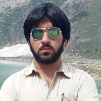 Waqar Shah-Freelancer in ,Pakistan