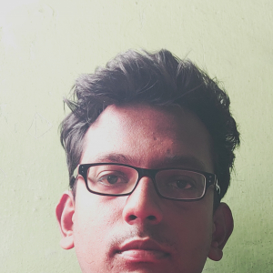 Imran Shaikh-Freelancer in ,India