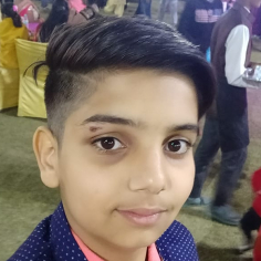 Harsh Malik-Freelancer in ,India