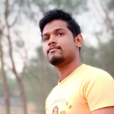 Anitesh Roy-Freelancer in ,India