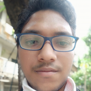Vikas Gupta-Freelancer in ,India
