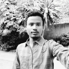 Tadeal Alemu-Freelancer in Adama,Ethiopia