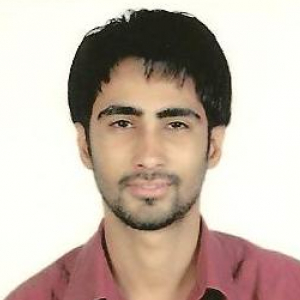 Vivek Bhaya-Freelancer in Vadodara,India