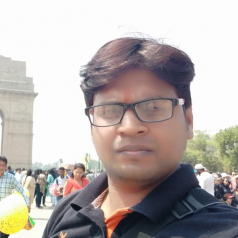 Bipin Verma-Freelancer in Lucknow,India