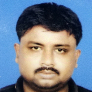 Biswajit Saha-Freelancer in ,India