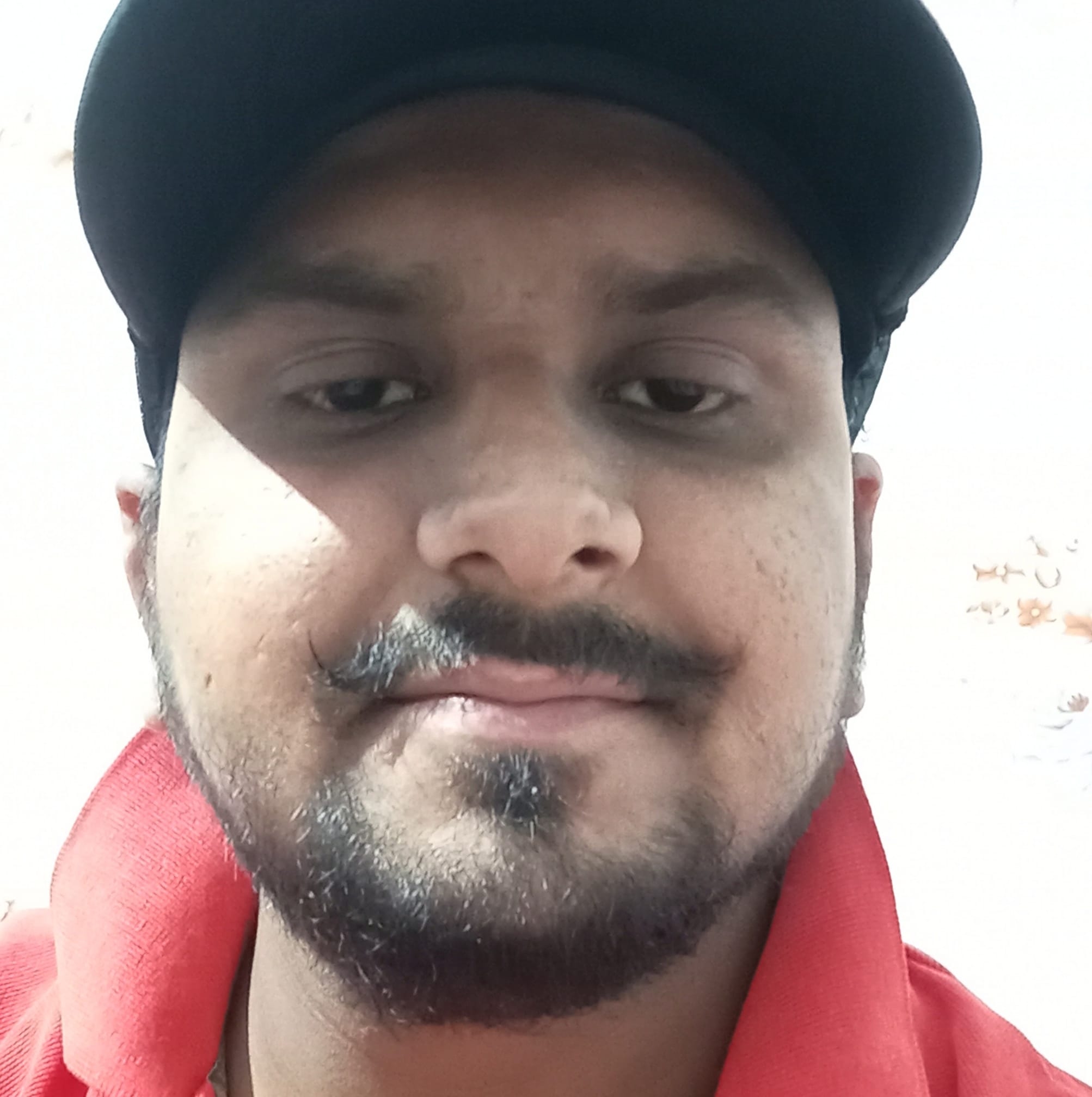 Manish Moudgil-Freelancer in Yamuna Nagar,India