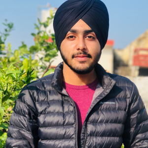 Harman Deep-Freelancer in ,India