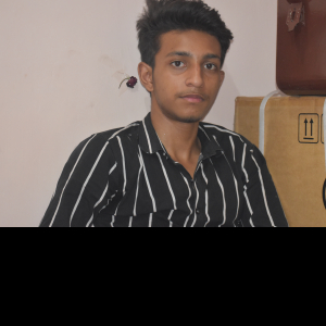 Faizan Saifi-Freelancer in ,India