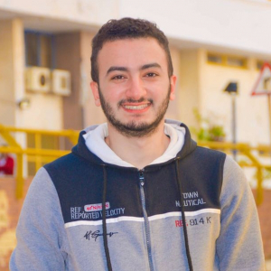 Ahmed Mshaly-Freelancer in Al Behira,Egypt