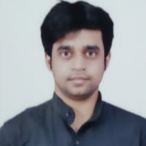Prashant Kumar-Freelancer in Darbhanga Division,India