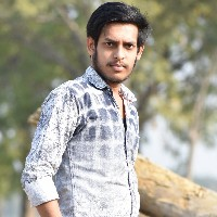 Dilesh Mehar-Freelancer in ,India