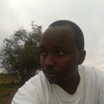 Gitosh Mwiti-Freelancer in ,Kenya