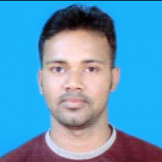 Suvankar Pal-Freelancer in ,India