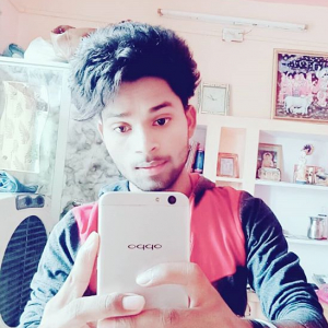 Neetesh Shakya-Freelancer in ,India