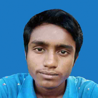 Suvhojit Biswas-Freelancer in Haora,India