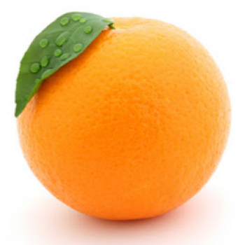 Truelancer profile picture for @oj