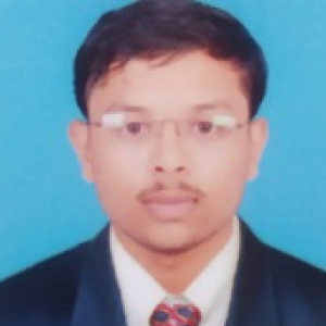 shubham-Freelancer in mahur,India