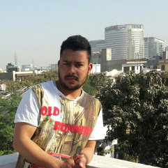 Mir Jamid-Freelancer in Srinagar,India