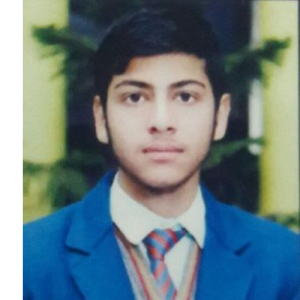 Md Huzaifa Chauhan-Freelancer in Delhi,India