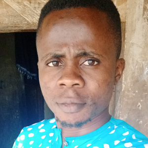 Oluwatoyin Suraju-Freelancer in Lagos,Nigeria
