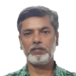 Mohammad Badsha Ramizuddin-Freelancer in Rajbari,Bangladesh
