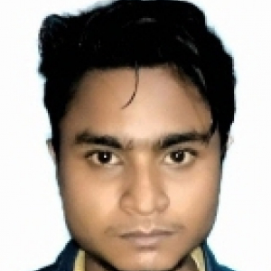Kaushik Basak-Freelancer in Barpeta,India