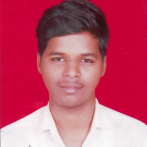 Govardhan Bingundi-Freelancer in SOLAPUR,India