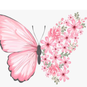 Imane mohamadi-Freelancer in casablanca,Morocco