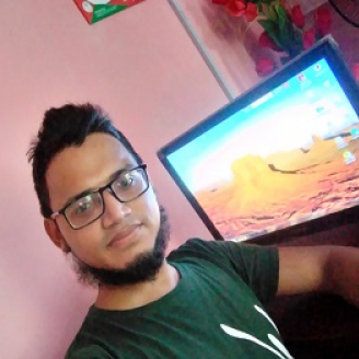 Mohammad Alamin-Freelancer in Dhaka,Bangladesh