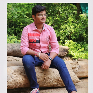 Shivam Mittal-Freelancer in ,India