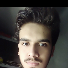 Aiyan Akhter-Freelancer in ,India