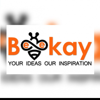 Beekay Infotech-Freelancer in Ahmedabad,India