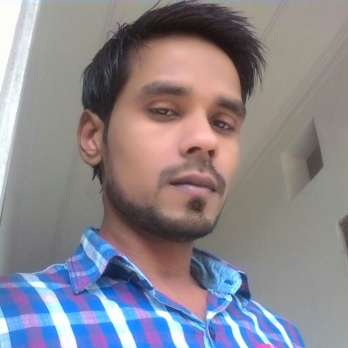 Akhtar Husain-Freelancer in Noida,India