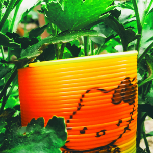 Raj-Freelancer in India ,odisha, bhubaneswar,India