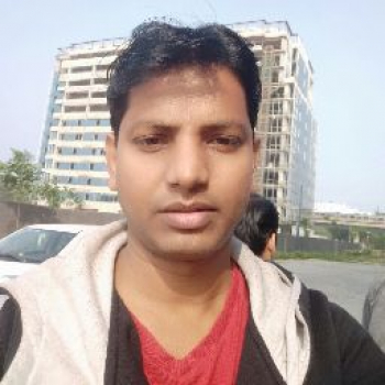 Dip Burman-Freelancer in New Delhi,India