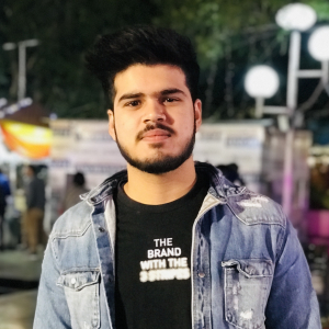 Ritik Dogra-Freelancer in Delhi,India