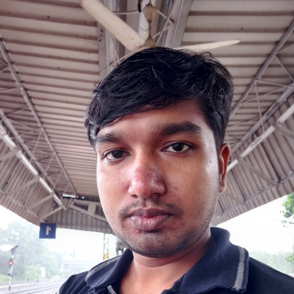 Biswajit Maity-Freelancer in ,India