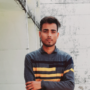 Narendra Singh-Freelancer in delhi,India