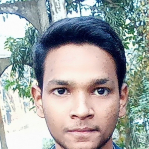 Husain Shan-Freelancer in Gazipur,Bangladesh