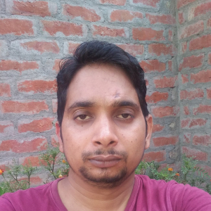 Rinku Vishvakarma-Freelancer in Lucknow,India