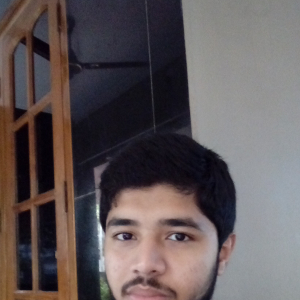 Muhammed Hafis K-Freelancer in Malappuram,India