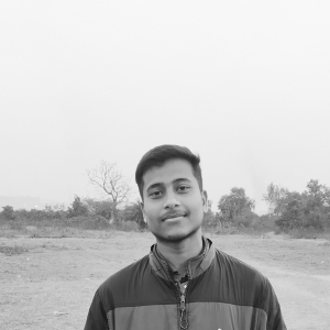 Shakil Ahamad-Freelancer in ,India